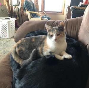 Meet your Posher, Patricia